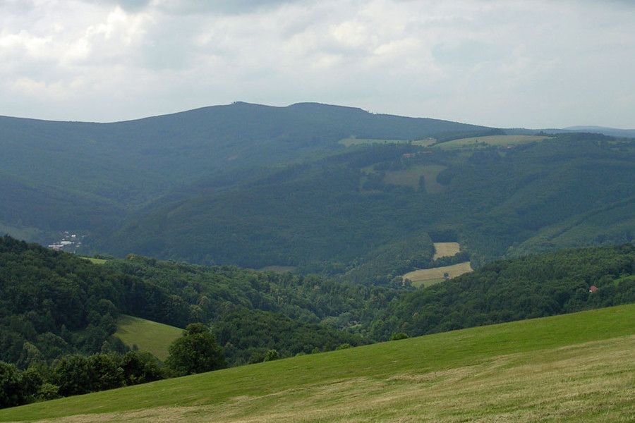 V přeshraničním projektu “Biodiverzita SK-CZ“ spolupracují čeští a slovenští lesníci