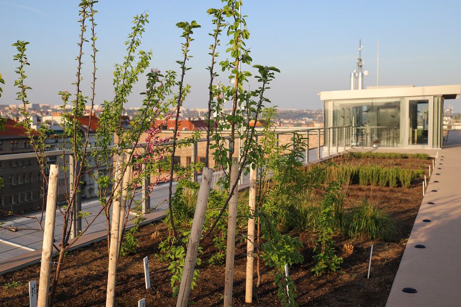 Letenský muzejní den v Národním zemědělském muzeu