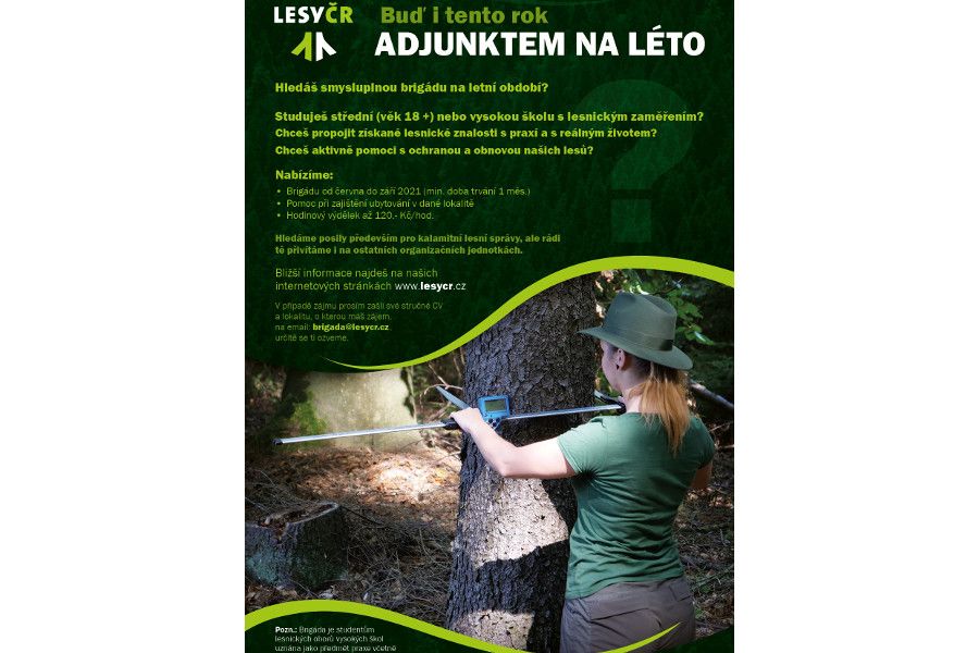 Budoucí lesníci se v létě stanou adjunkty ve státních lesích