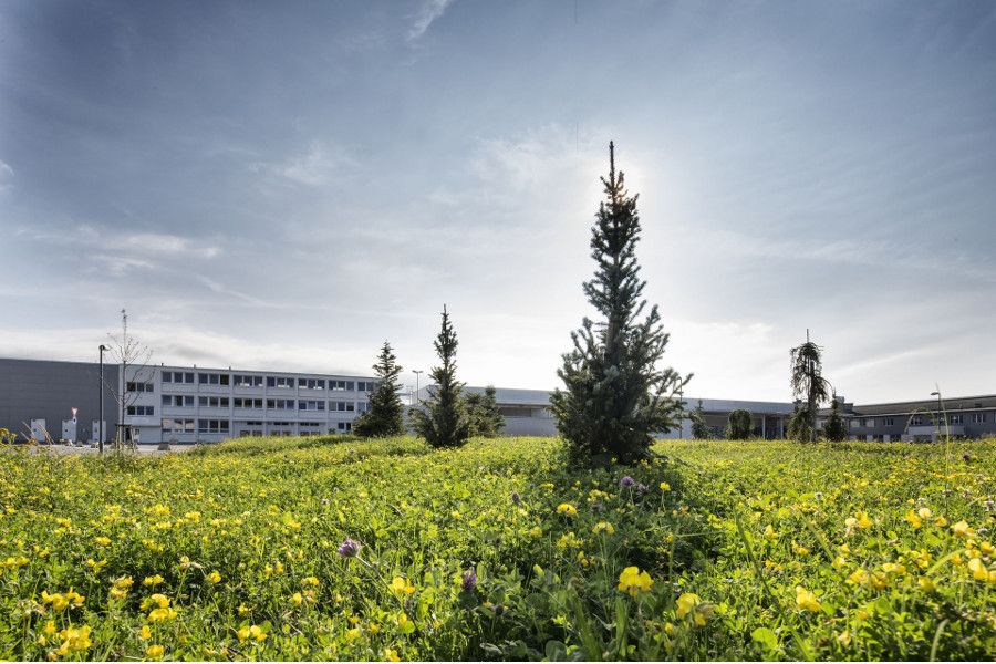 ŠKODA AUTO představuje vybrané projekty na ochranu biodiverzity