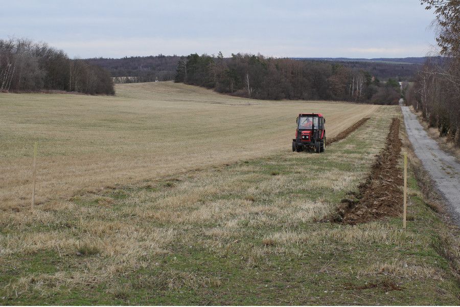 Maloplošné rozorání travních porostů v chráněných územích může zvýšit biodiverzitu