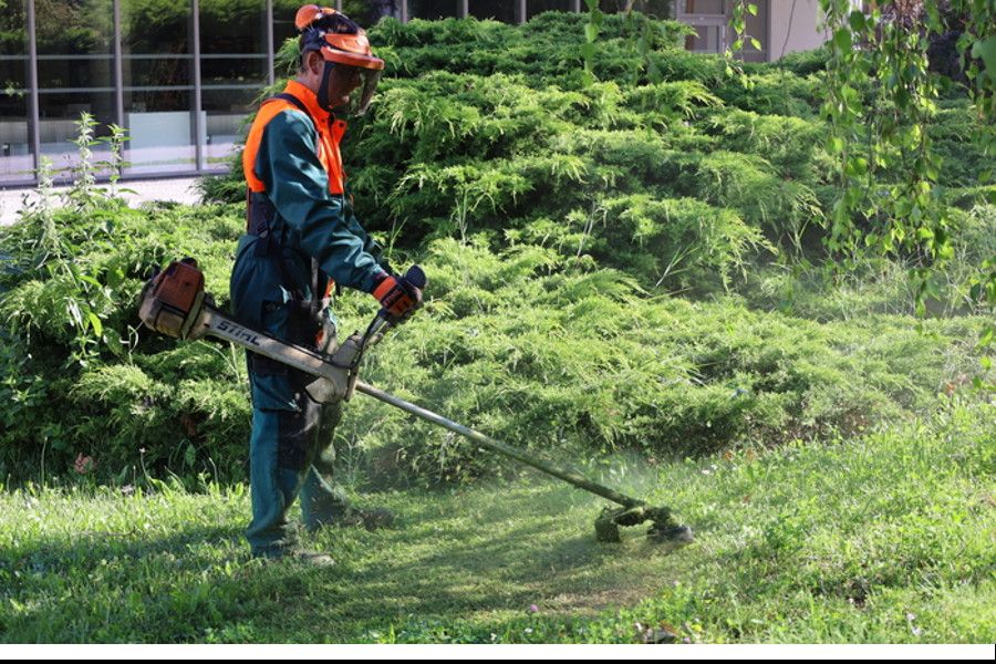 Obce tápou v péči o trávníky, dopředu neznají jejich účel