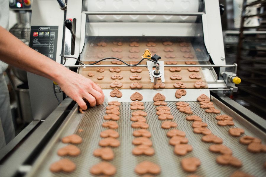 Žáci základních škol poznávají bio potraviny zblízka