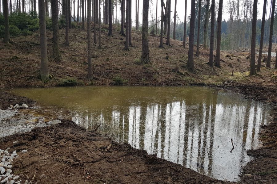 Proti suchu: Osm nových tůní prospívá na Vysočině krajině i živočichům