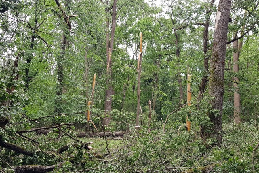 Nebezpečné polomy po vichřici uzavřely na měsíc jižní část Soutoku