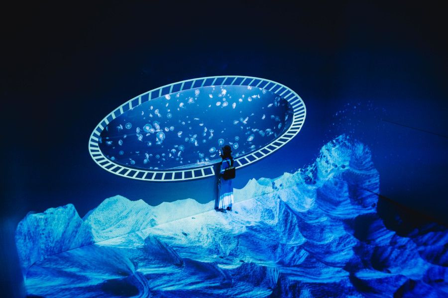 Největší kulovité akvárium mají v Praze na Pankráci