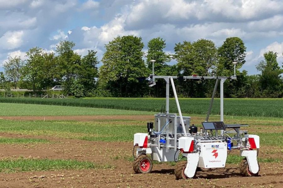 Pro boj s plevelem nebude třeba používat škodlivou chemii