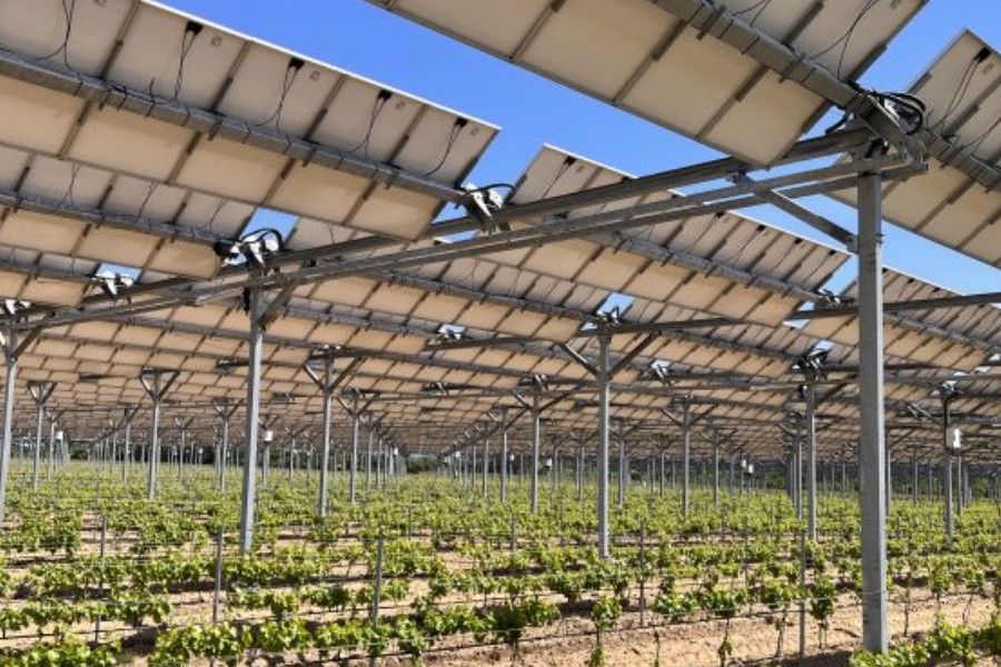 Agrivoltaiku brzdí zatím legislativa a vysoké ceny panelů