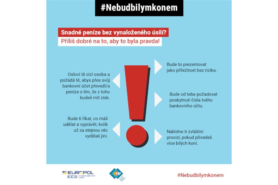 V rámci celosvětového boje proti praní špinavých peněz bylo zatčeno 2 649 bílých koní