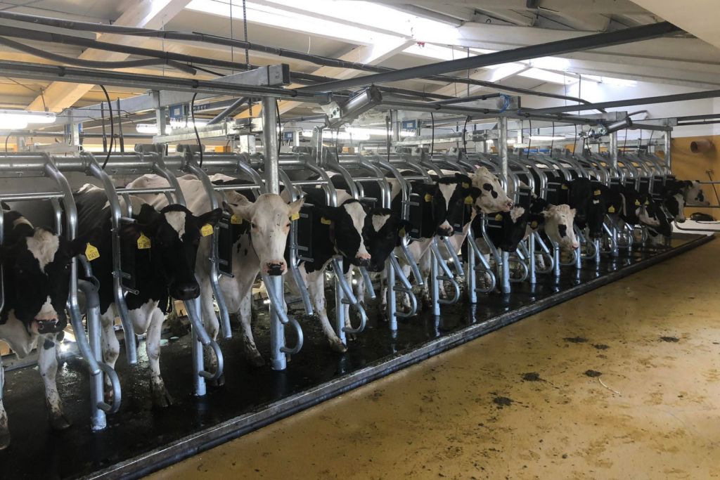 Příběh NETISu: Naplnění vize moderního zemědělství