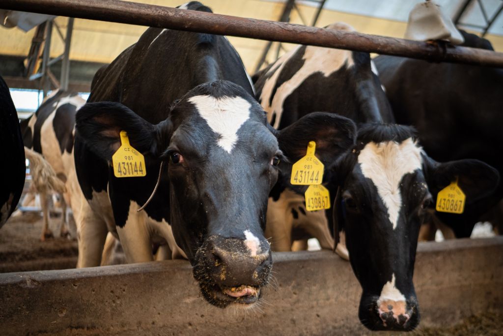 Příběh NETISu: Naplnění vize moderního zemědělství