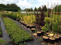 Jak ochladit rozpálená města